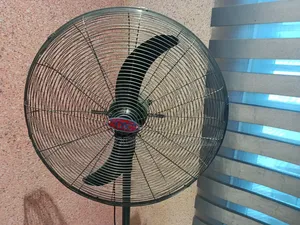 Electric Fan
