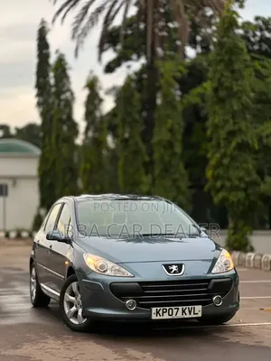 Peugeot 307 X-Line 1.6 Automatic 2007 Gray