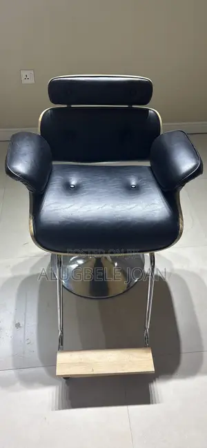 Salon Chair