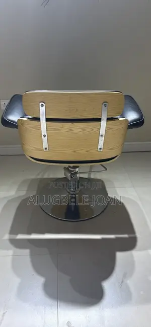 Salon Chair