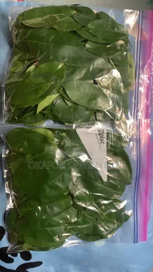 Fresh Soursop Leaves