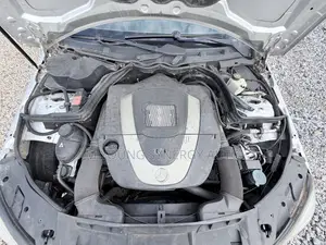 Mercedes-Benz C300 Luxury 4Matic Sedan AWD (3.0L 6cyl 7A) 2010 Silver