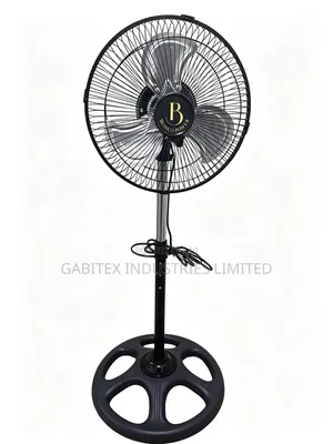 Standing Fan