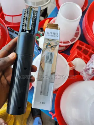 Electric Fish Scaler