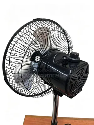 Standing Fan
