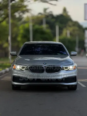 BMW 530i 2019 Silver