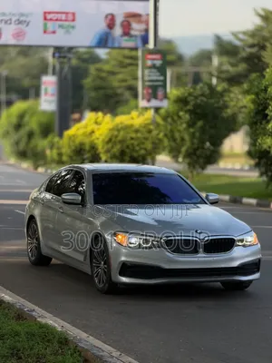 BMW 530i 2019 Silver