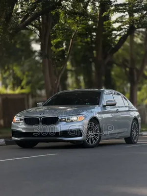BMW 530i 2019 Silver
