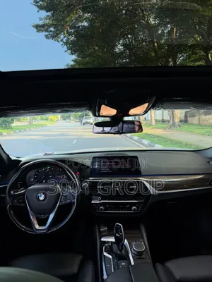 BMW 530i 2019 Silver