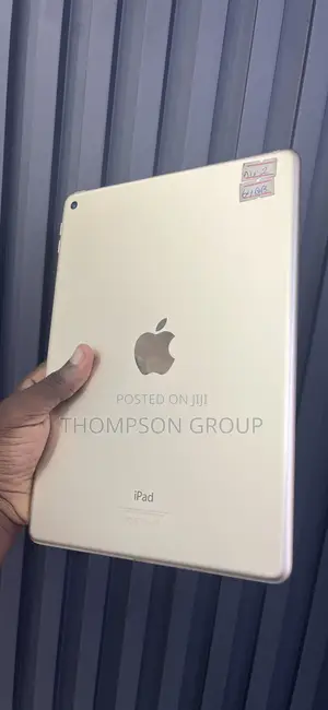 Apple iPad Air 64 GB Gray