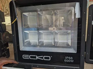 Flood Light