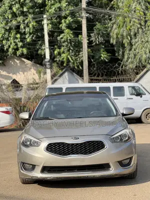 Kia Cadenza 2014 Gray