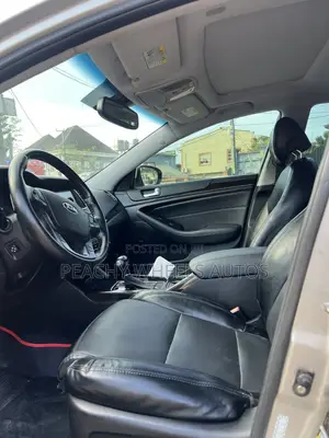 Kia Cadenza 2014 Gray