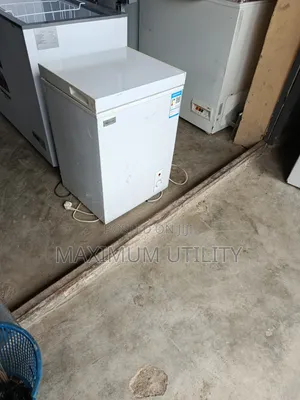 Royal Star 58 Liters Factory Fitted Mini Freezer