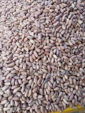 Dry Dates Fruit