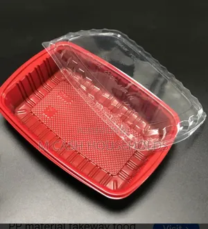 Disposable Takeaway Food Container