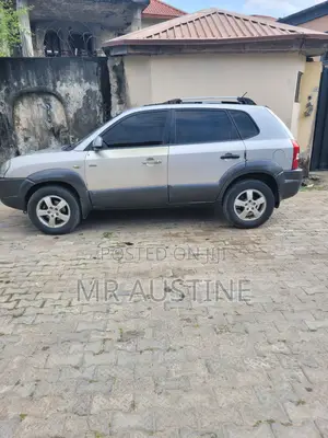 Hyundai Tucson 2006 Blue