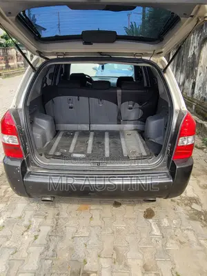 Hyundai Tucson 2006 Blue
