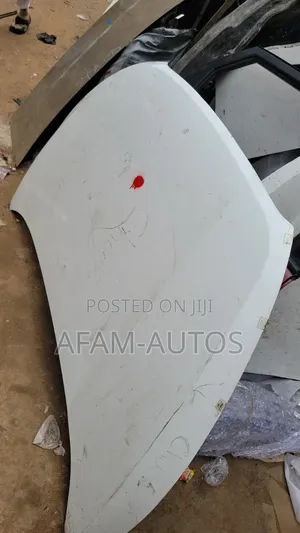 Hyundai Hood and Lights Available