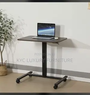 Adjustable Movable Computer/Laptop Desk
