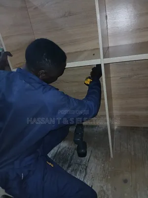 Professional Electrician