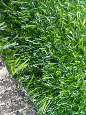 20 Mm Standard Artificial Grass