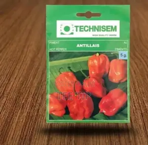 Technisem Antillais