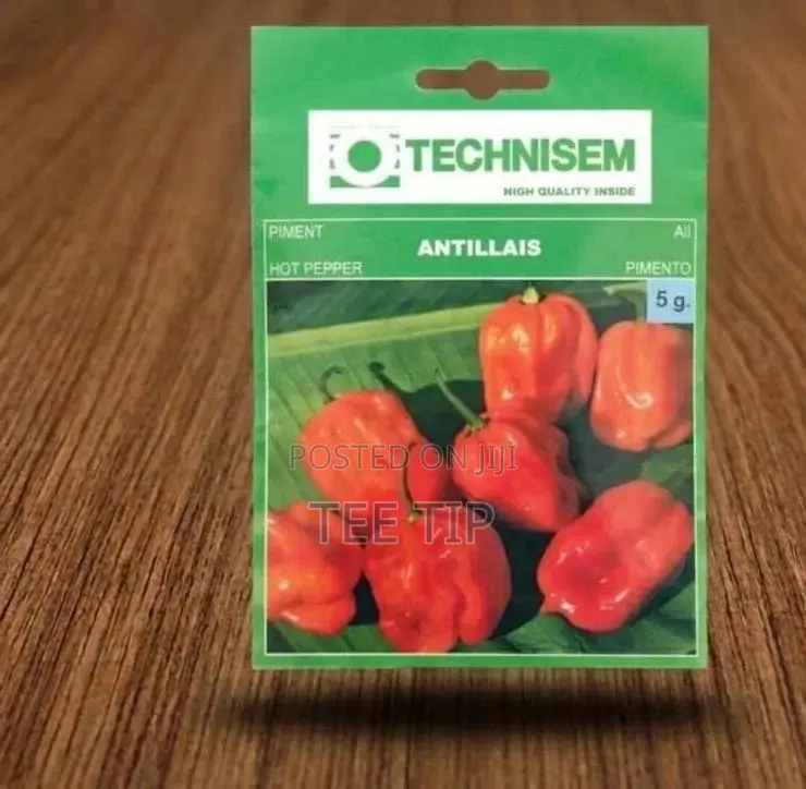 Technisem Antillais