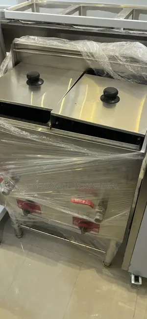 Standing Deep Gas Fryer