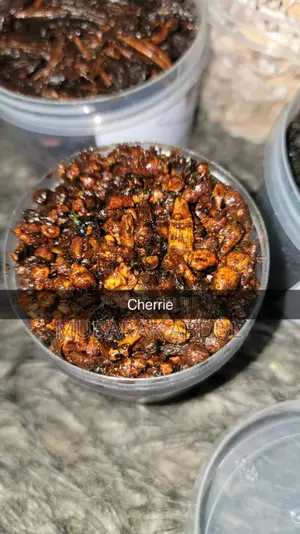Turaren Wuta (Light Perfume)