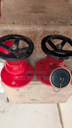 Landing Valve 21⁄2