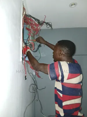 Professional Electrician