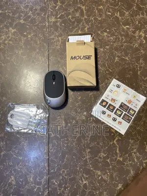 Laptop Bag, Mouse and Accessories