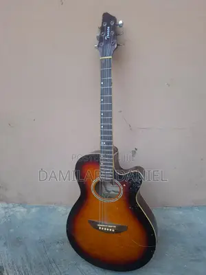 Semi Acoustic Guitar