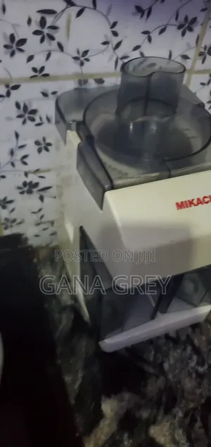 Powerful Fruit Juicer