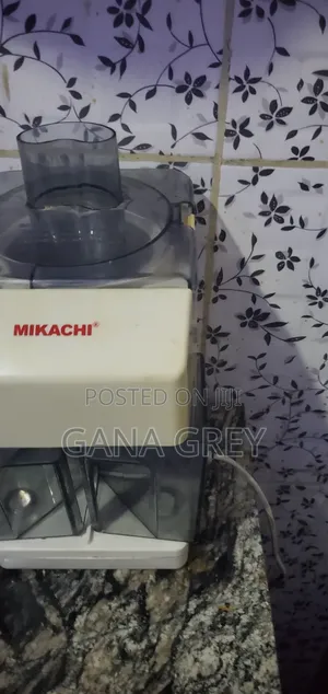 Powerful Fruit Juicer