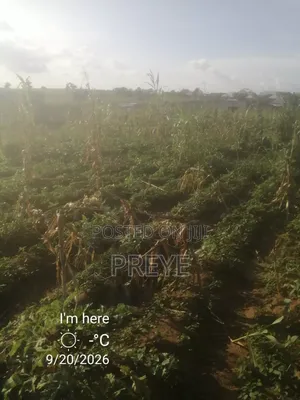 100/100 Square Size Land for Sale