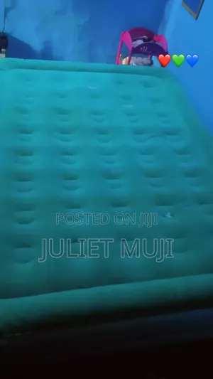 Double Pumping Mattress