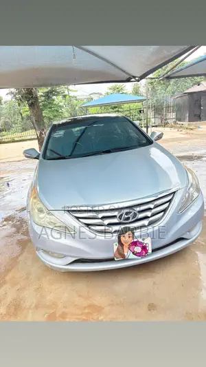 Hyundai Sonata 2012 Blue