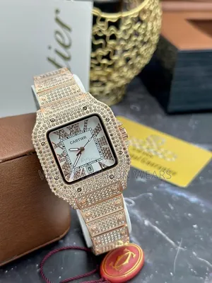 Cartier Ice Quality Wrist Watch