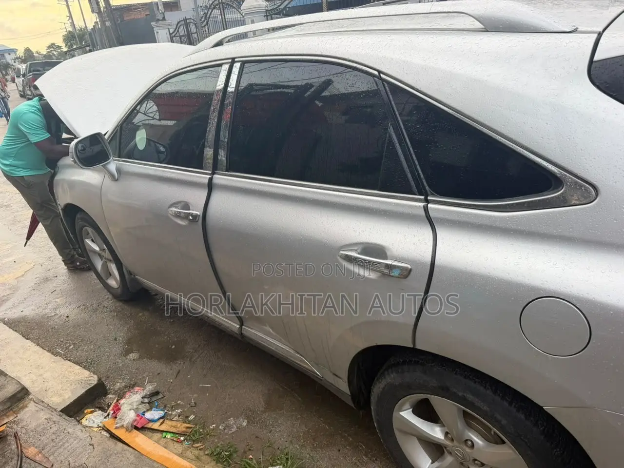 Lexus RX 350 2010 Silver