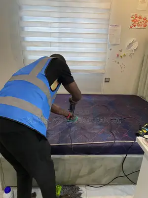 Bedframe/Mattress Cleaning