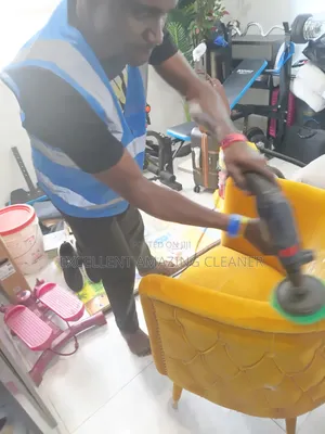 Professional Sofa/Carpet Rug Cleaning