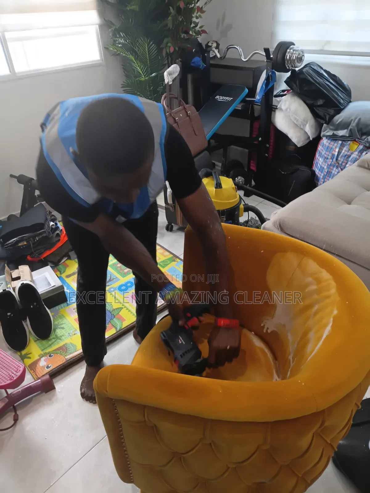 Professional Sofa/Carpet Rug Cleaning