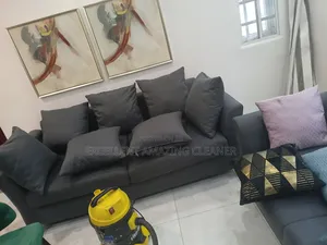 Professional Sofa/Carpet Rug Cleaning