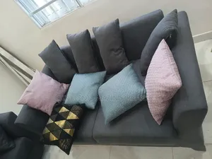 Professional Sofa/Carpet Rug Cleaning