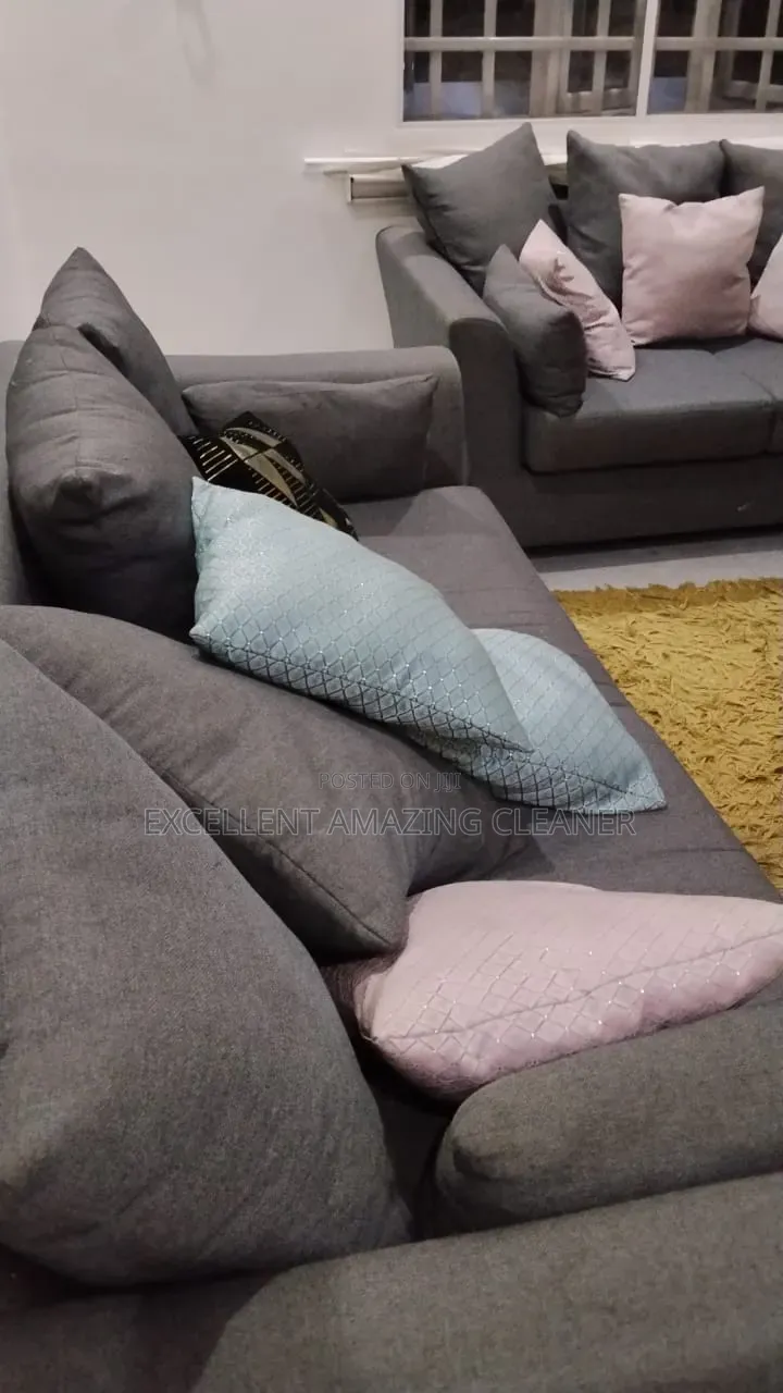 Professional Sofa/Carpet Rug Cleaning