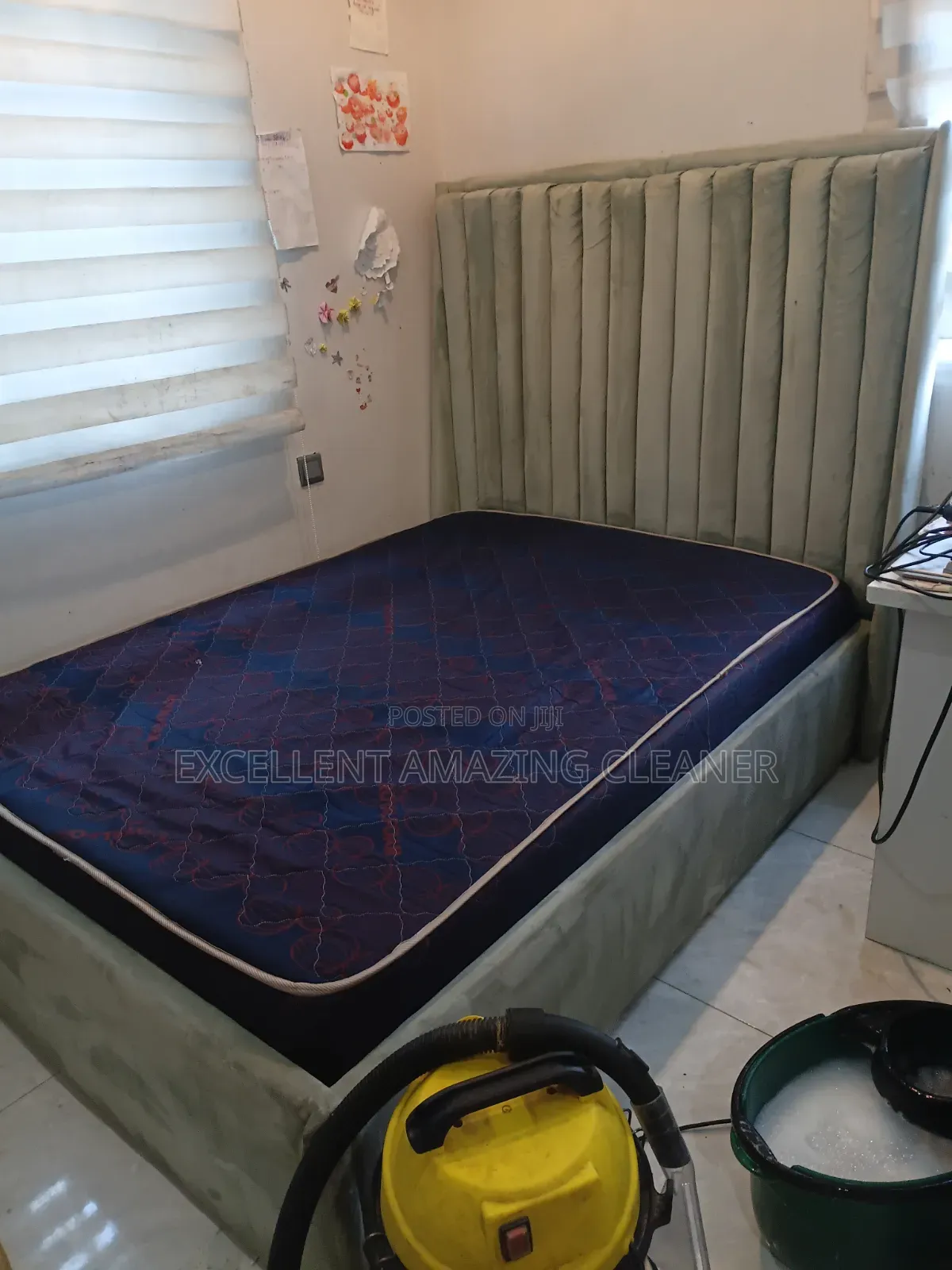 Professional Sofa/Carpet Rug Cleaning