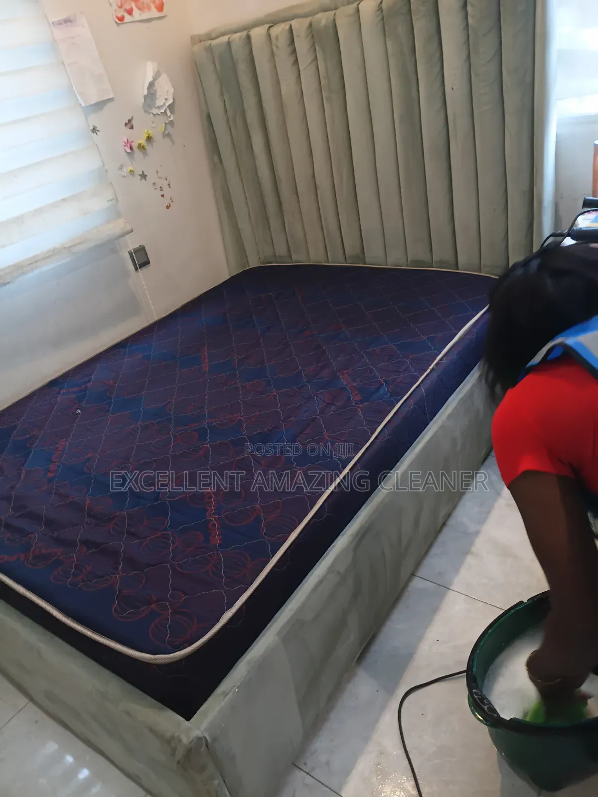Professional Sofa/Carpet Rug Cleaning