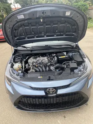 Toyota Corolla LE 2021 Blue